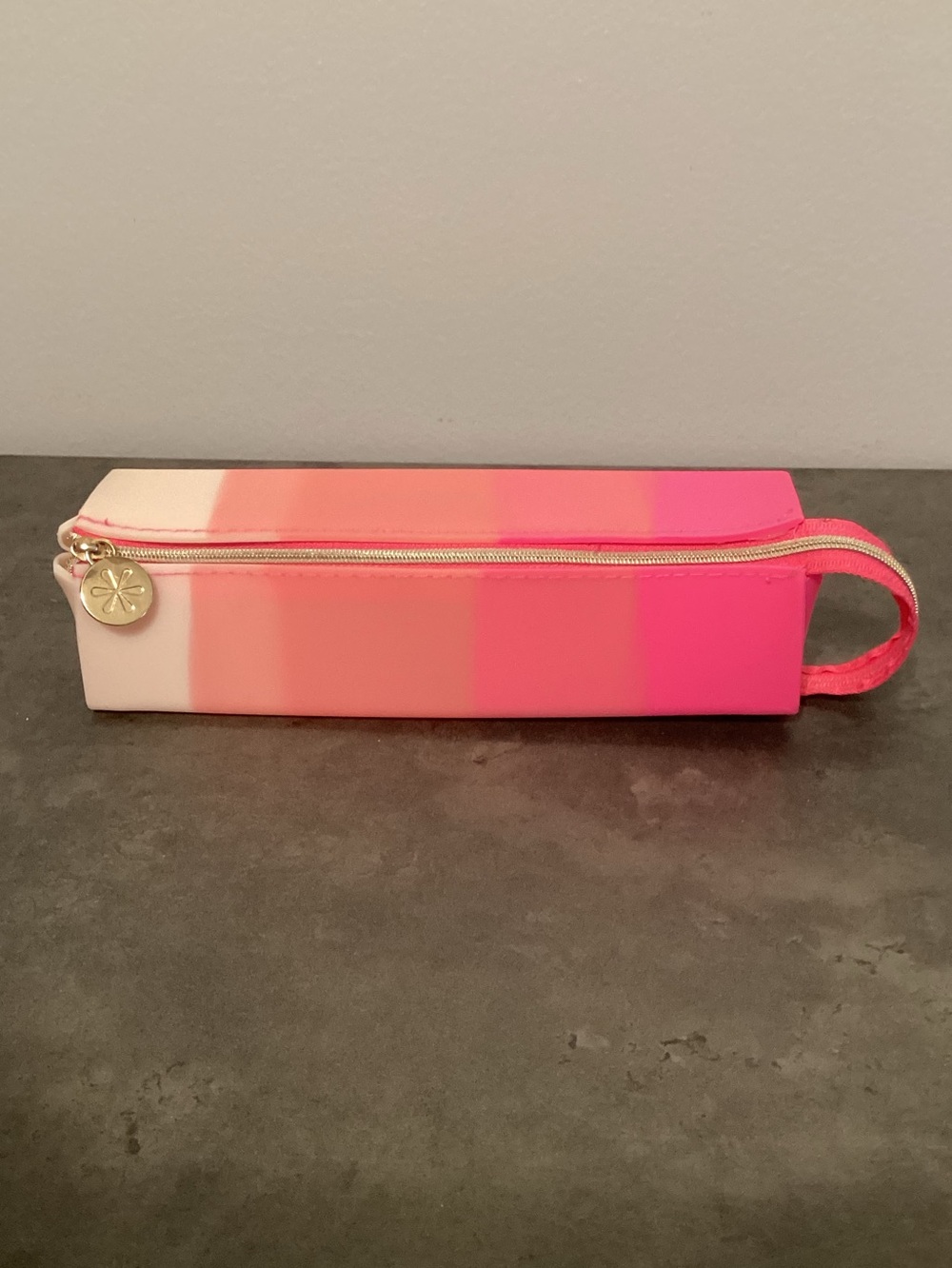 Erin Condren Pink Gradient Stripe Pencil Case with Charm